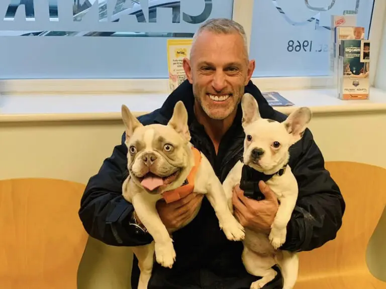 taxi that takes dogs, pet taxi driver with 2 dogs at the vets