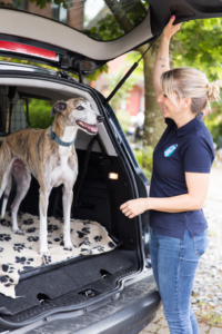 Claire Harris beside the open boot of a Pets 2 Places vehicle, smiling at a greyhound standing inside on a paw-print blanket.