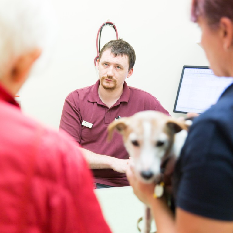 pet groomers