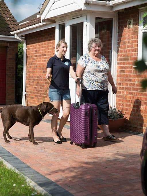 Helping lady going on holiday to the pet taxi