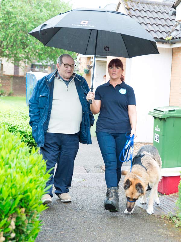 Walking a dog and owner to a pet taxi