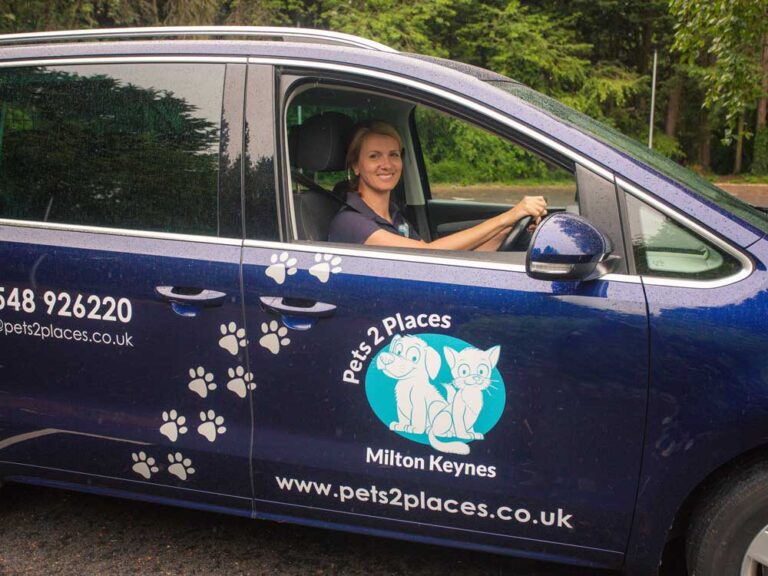 Pet taxi