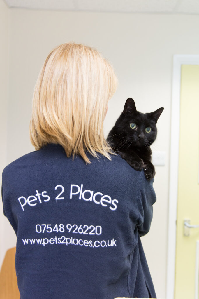 Pets 2 Places franchisee holding a black cat, showing the caring and personal approach of the specialist pet transport service