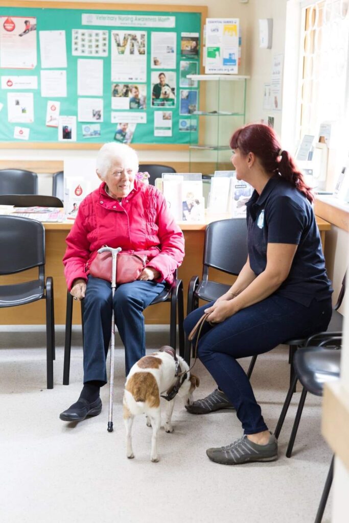 Pet taxi service driver working with animals