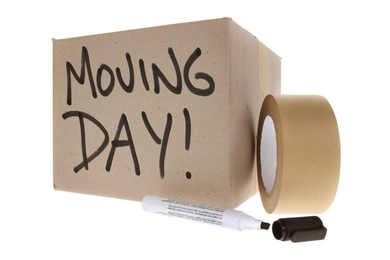 pet taxi service moving house packing box and tape