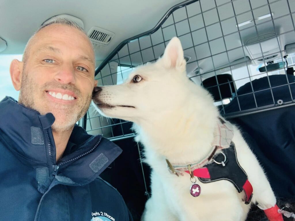 Pontefract and wakefield pet taxi driver with dog in pet taxi