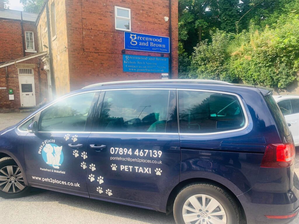 Pet taxi sign written on to taxi