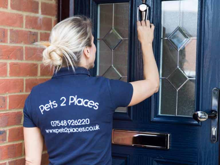 pet taxi driver working in the community