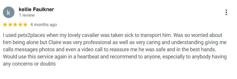 pets 2 places google review